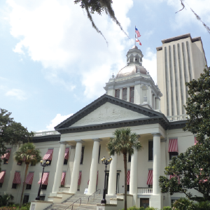 FAC 2017 Legislative Day