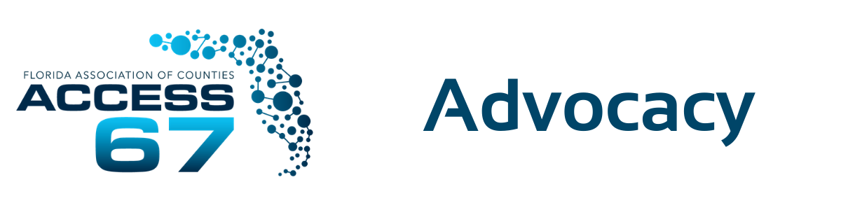 Access 67 Logo Blue and silver logo that says Access 67