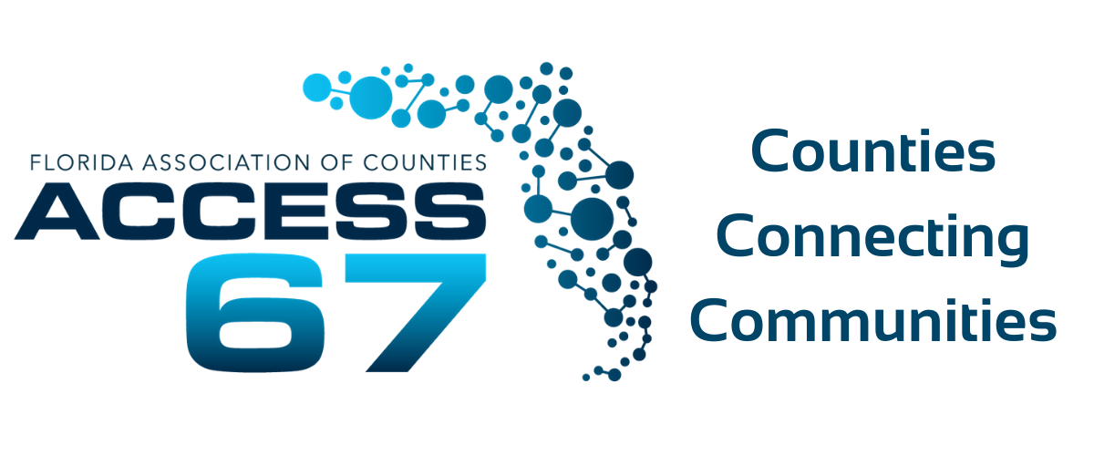 Access 67 Logo Blue and silver logo that says Access 67