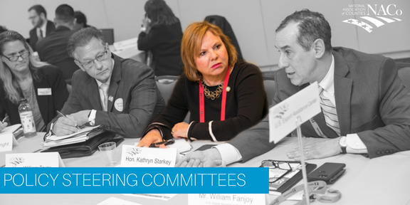 Policy Steering Committees
