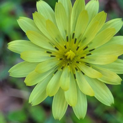 fb_img_1753387962648